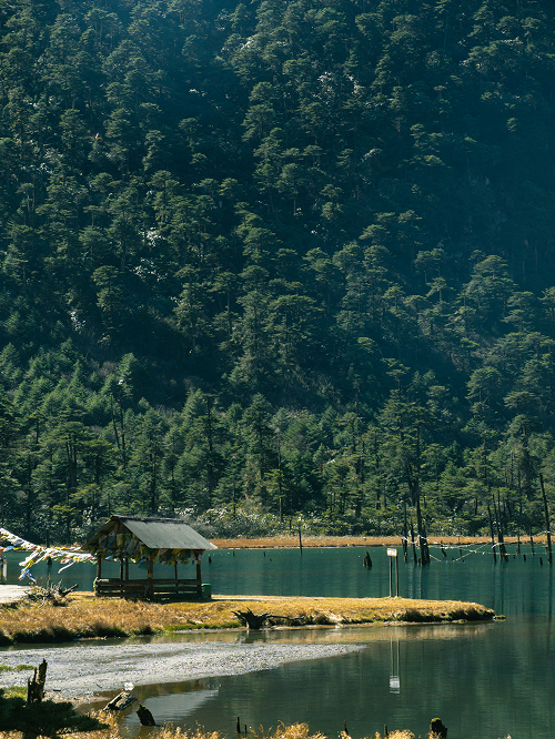 Arunachal Pradesh